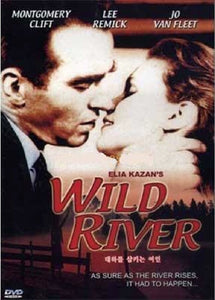 Wild River (1960)